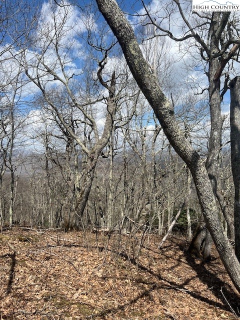 Tbd Fire Tower Road Road Property Photo 4