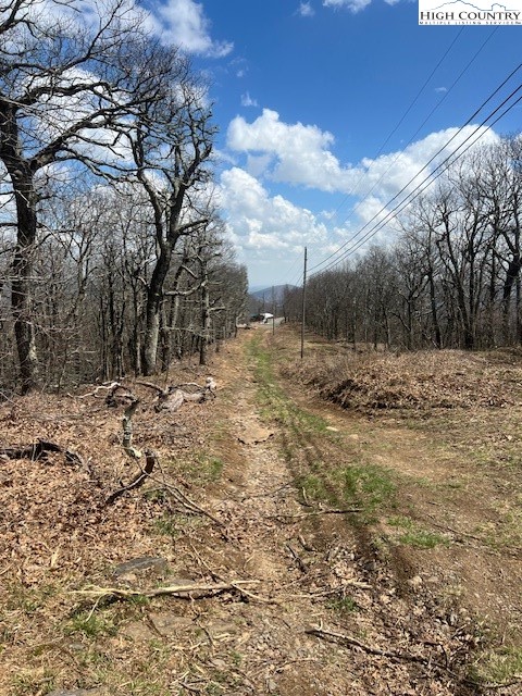 Tbd Fire Tower Road Road Property Photo 5