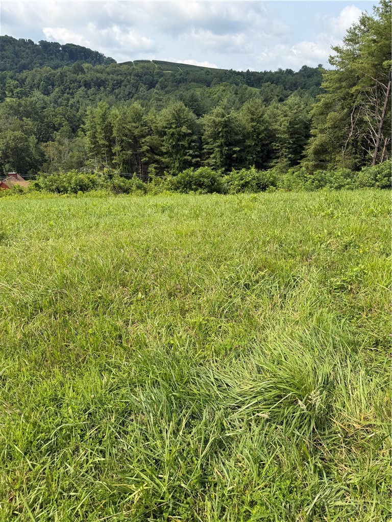 Tbd 3l Memorial Park Drive Property Photo 1