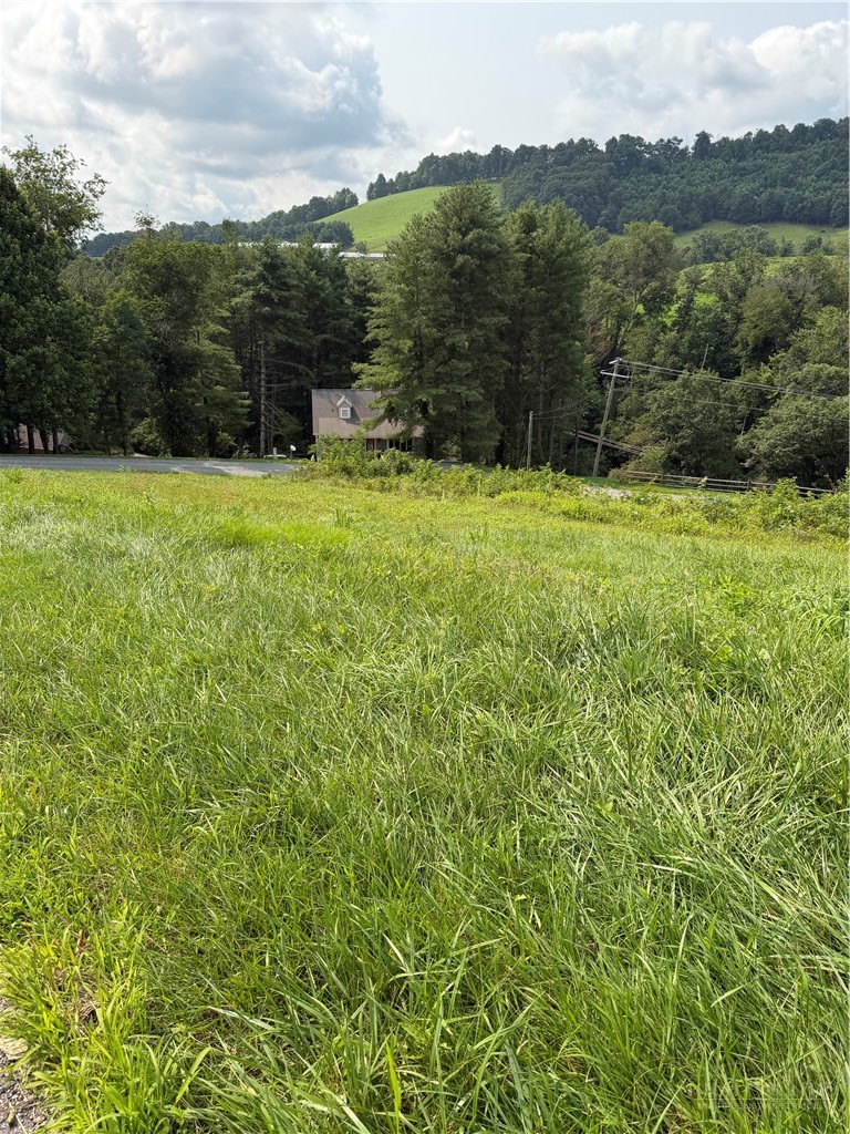 Tbd 11m Memorial Park Drive Property Photo 1