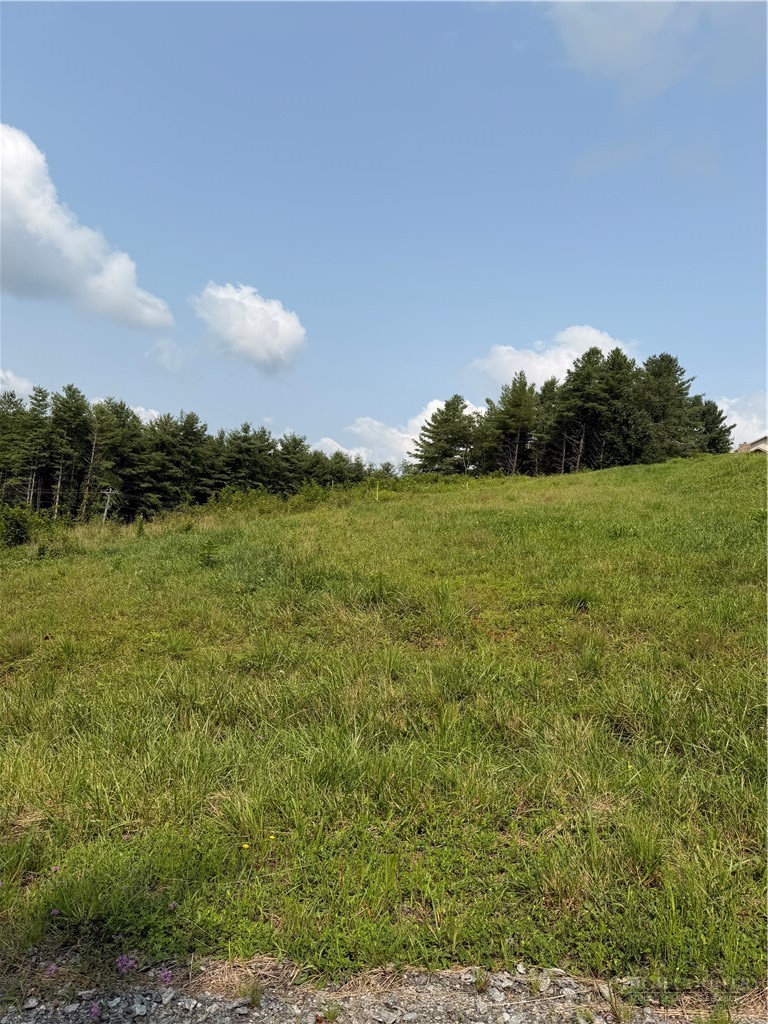 Tbd 11m Memorial Park Drive Property Photo 2