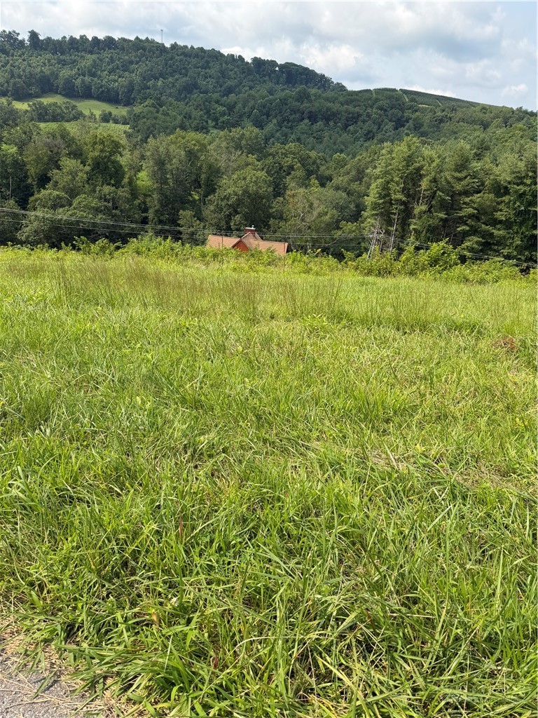 Tbd 12m Memorial Park Drive Property Photo 1