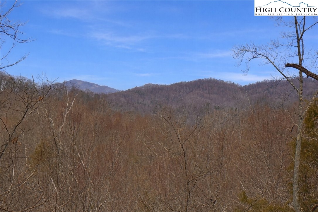 Lot 92 Beaver Dam Road Property Photo 1