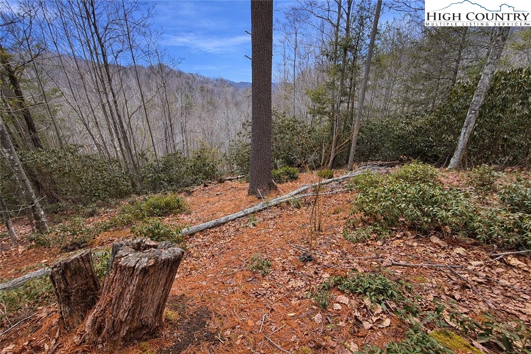 Lot 92 Beaver Dam Road Property Photo 3