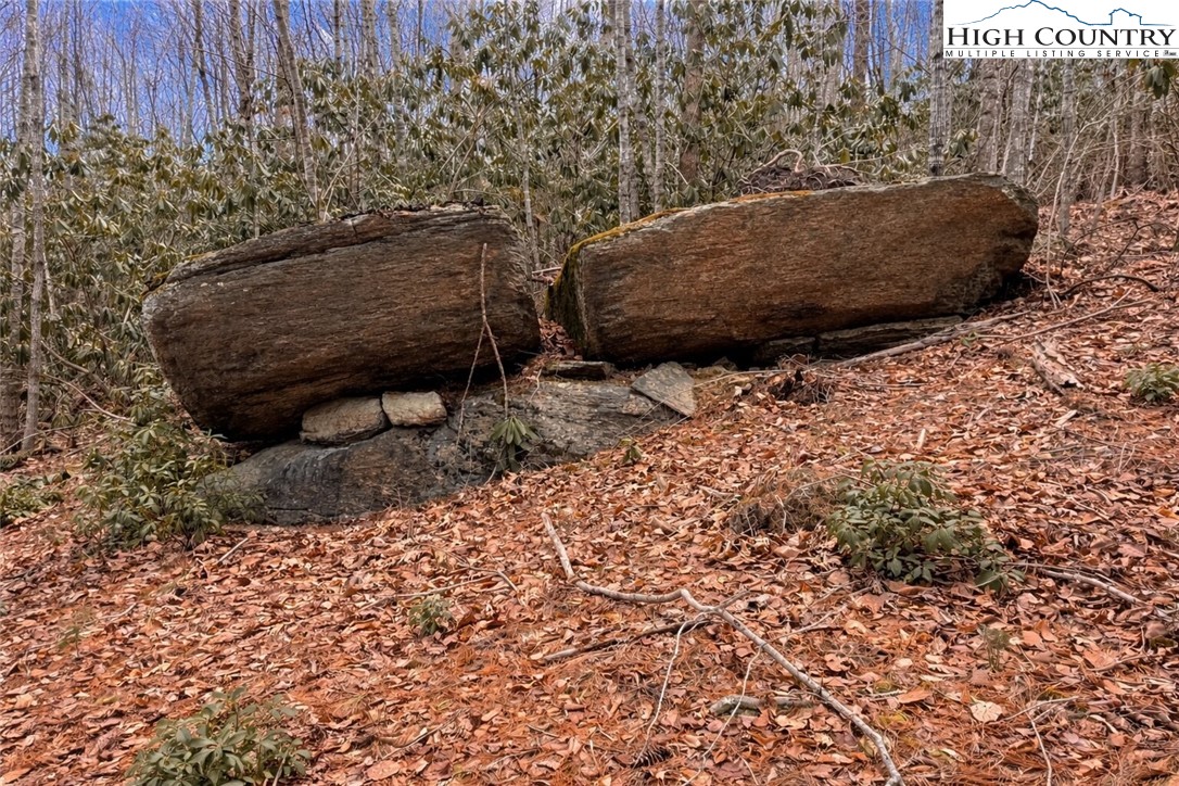 Lot 92 Beaver Dam Road Property Photo 4