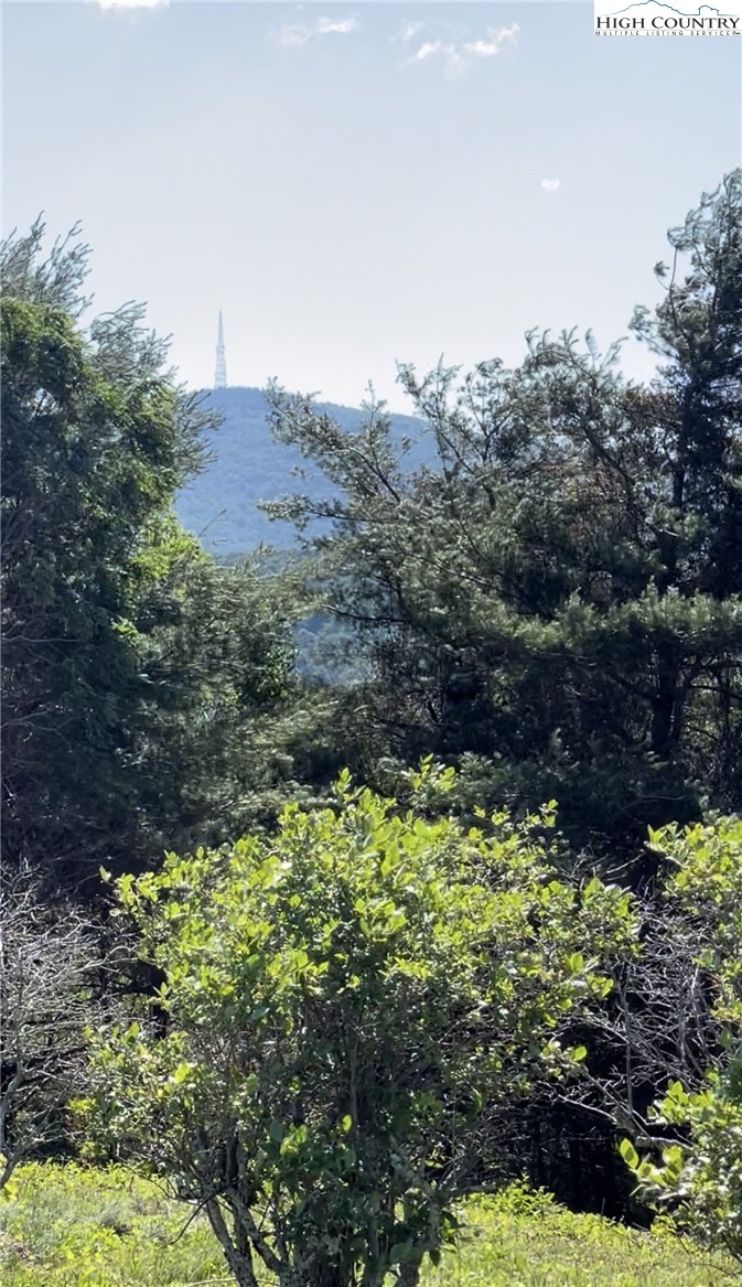 Tbd Lot 39 Crestwood Circle Property Photo 2