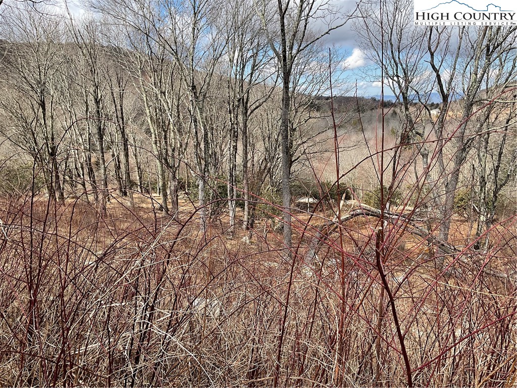 Lot 55 Foxfire Drive