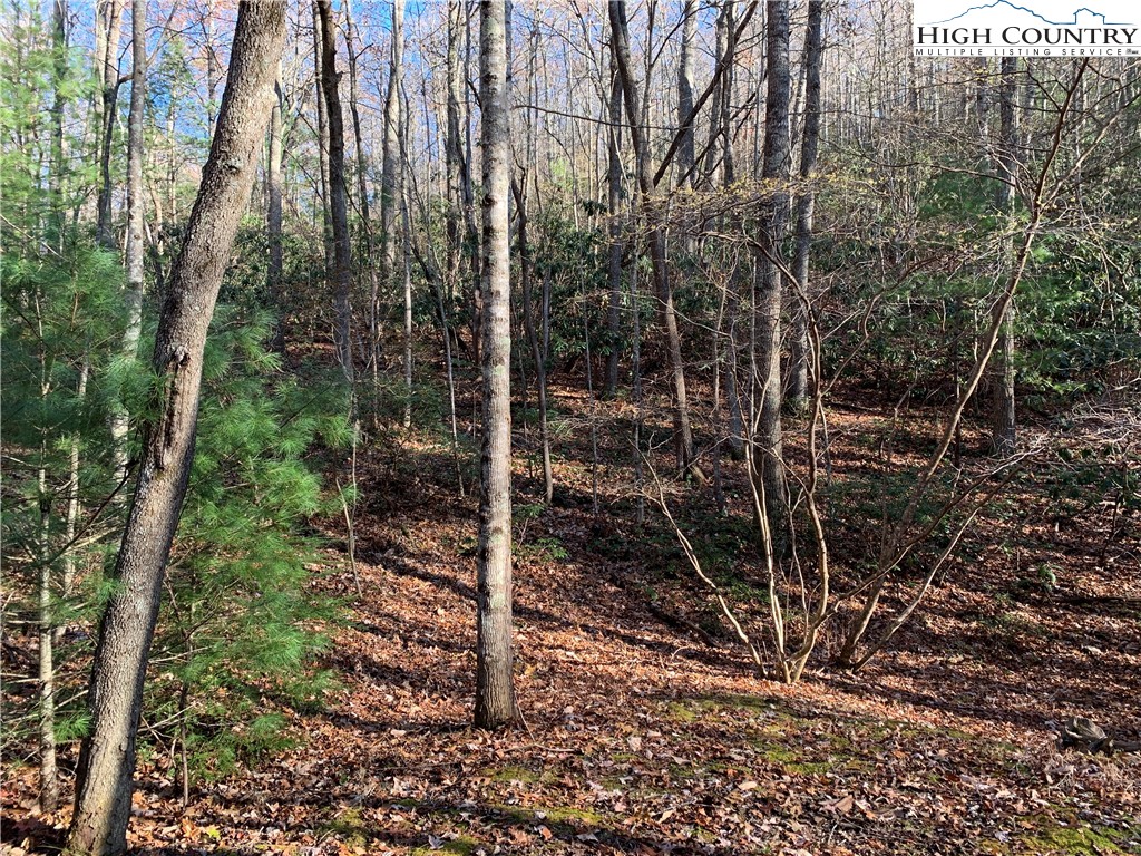Tbd (lot 1) Dugger Firetower Road Property Photo 1