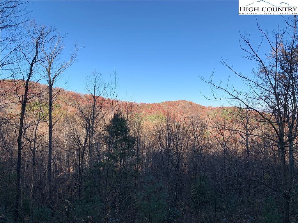 Tbd (lot 19) Wolf Den Lane Property Photo 1