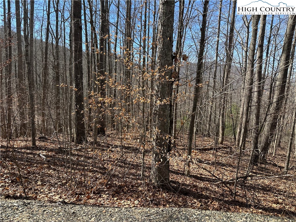 Tbd Woodland Ridge Property Photo 4