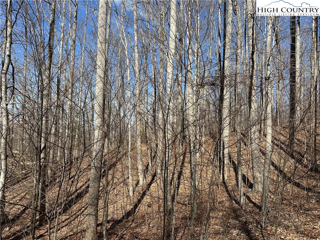 Tbd Woodland Ridge Property Photo 7