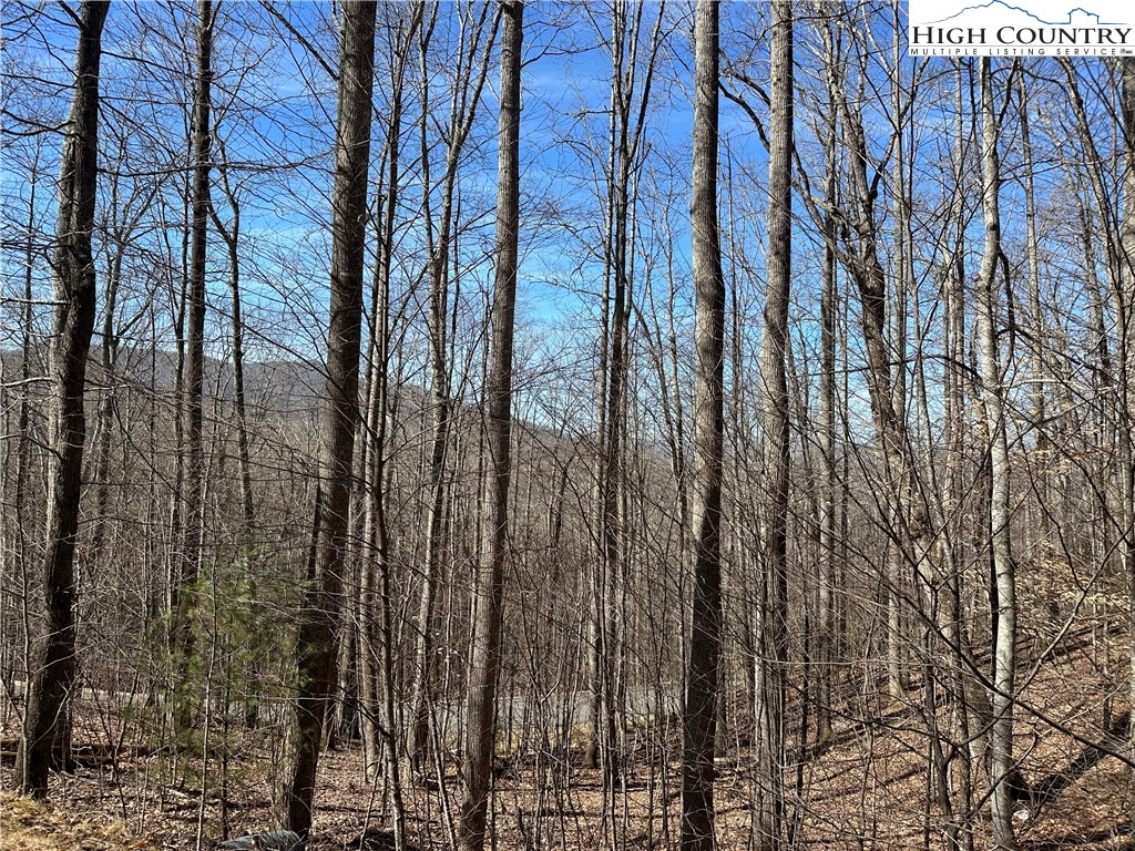 Tbd Woodland Ridge Property Photo 9