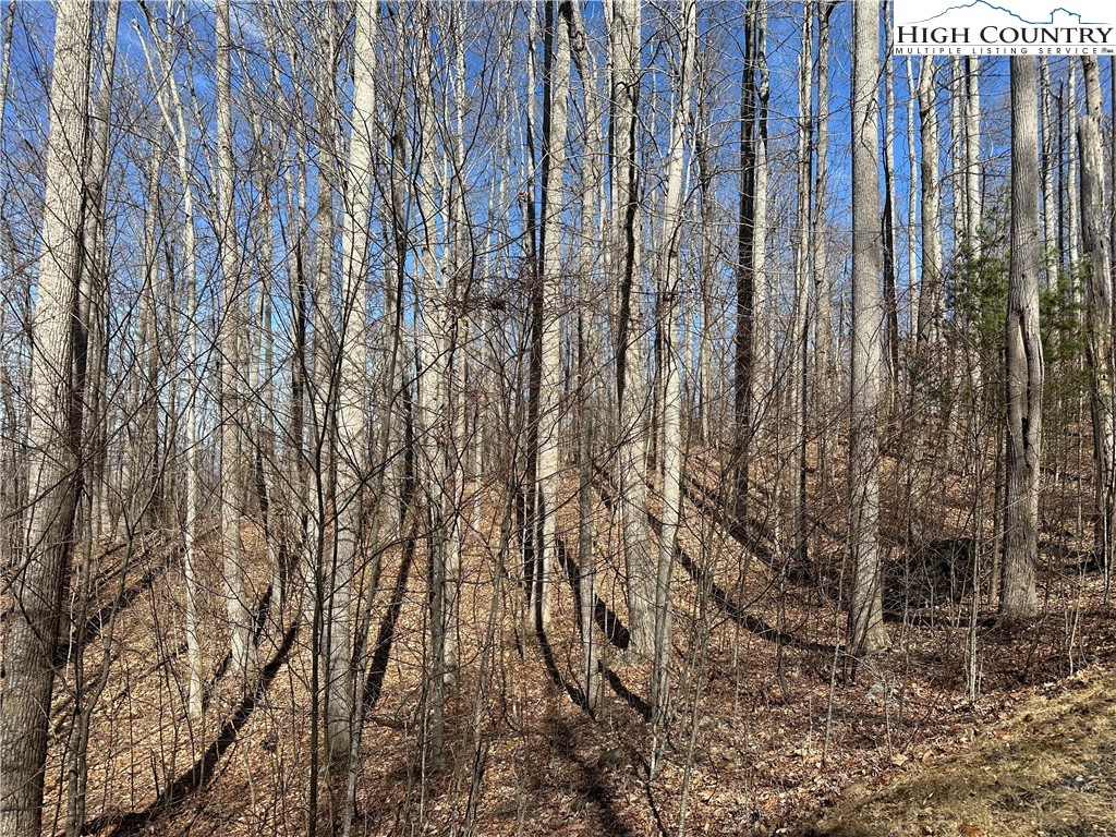 Tbd Woodland Ridge Property Photo 12