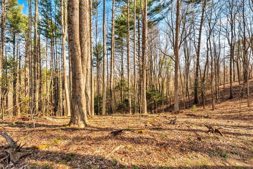 Tbd Private Drive Property Photo 1