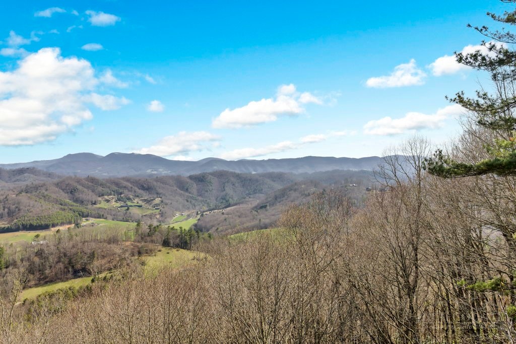 Tbd Rominger Road Property Photo 1