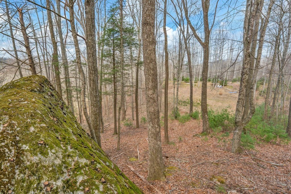 Tbd Denney Wood Road Property Photo 1