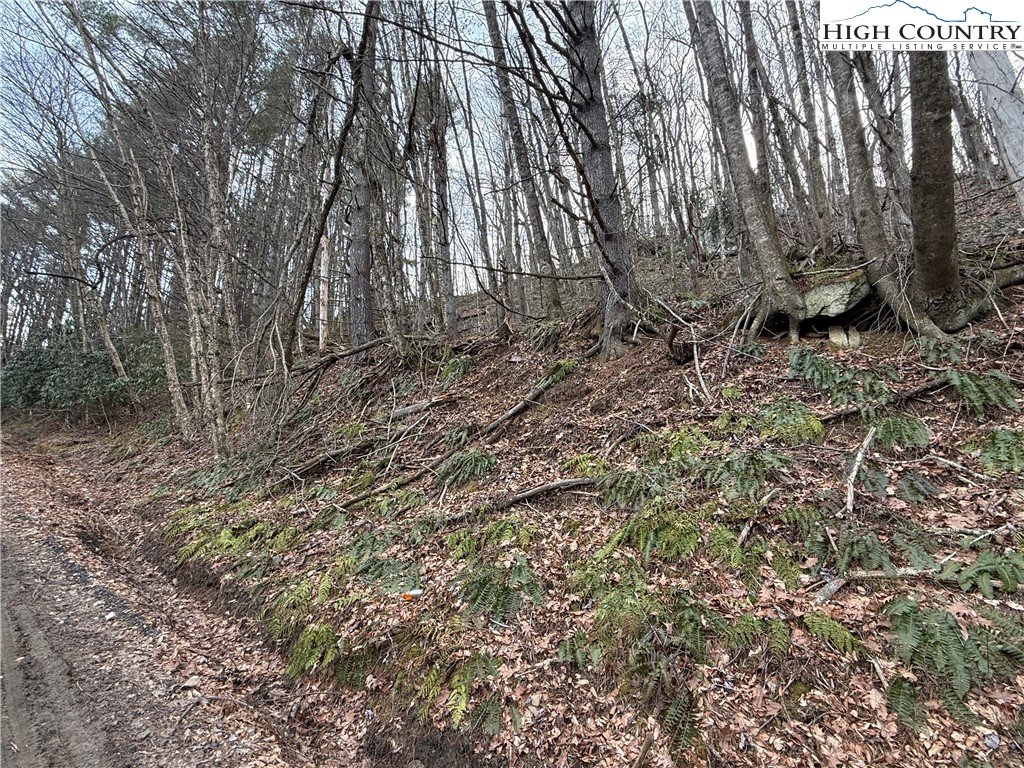 TBD Pritchard Road Property Photo 1