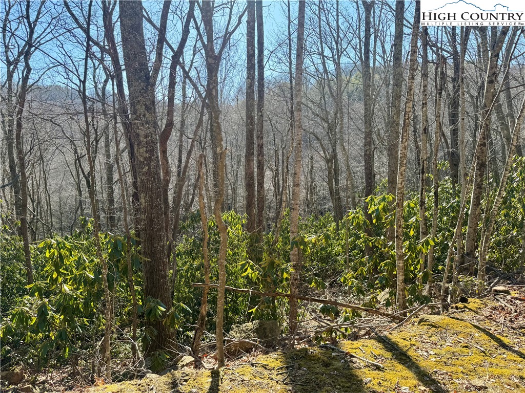 0 Gumtree Road Property Photo 2