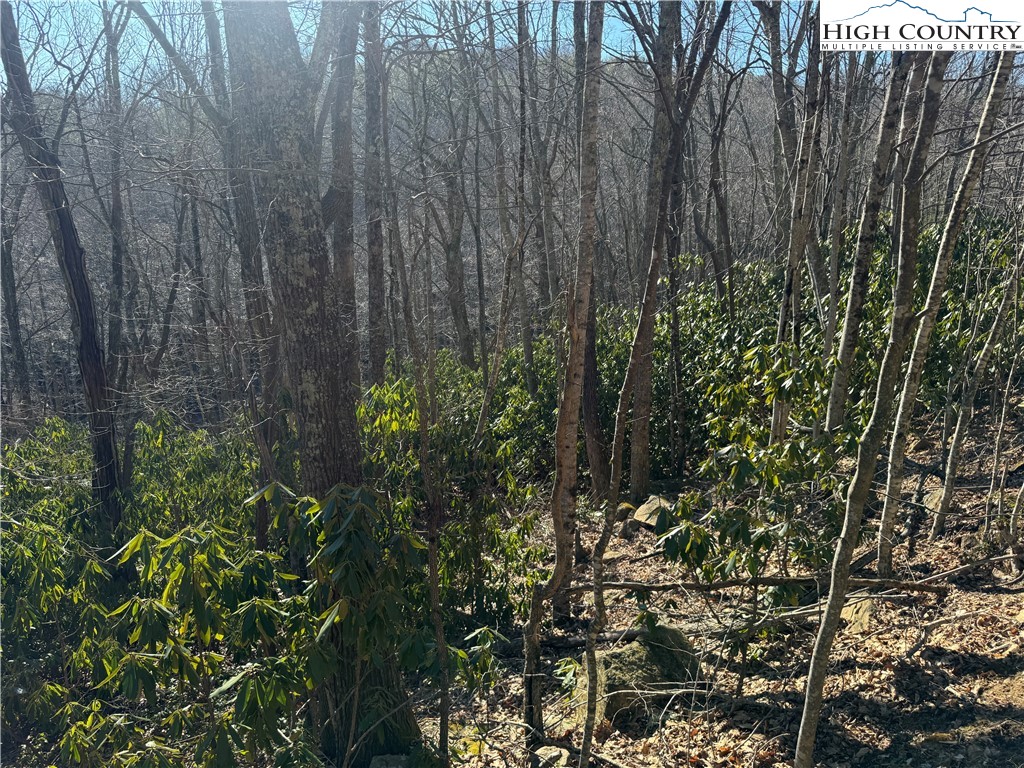 0 Gumtree Road Property Photo 3