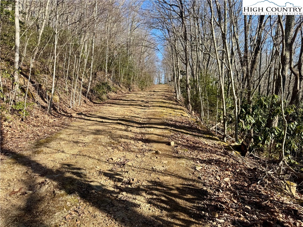 0 Gumtree Road Property Photo 5