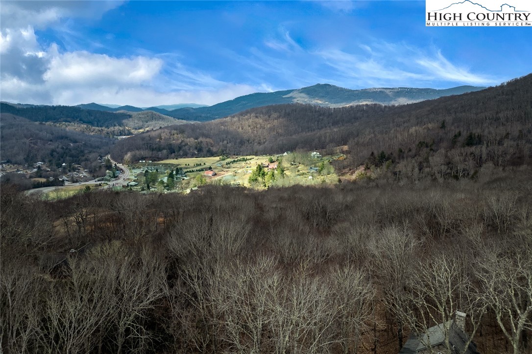 214 Sugar Bear Ridge Lane Property Photo 45