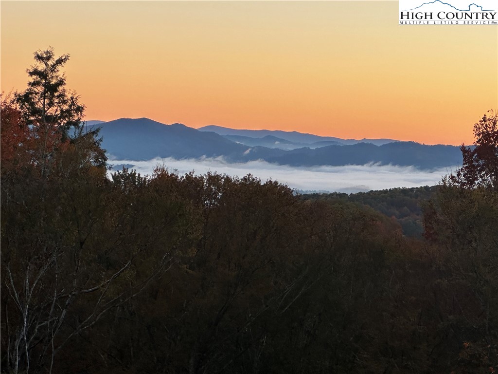 Lot 94 Eagles Nest Trail Property Photo 1