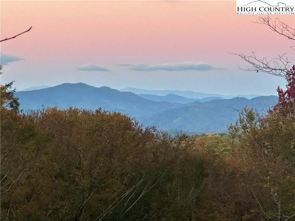 Lot 94 Eagles Nest Trail Property Photo 2