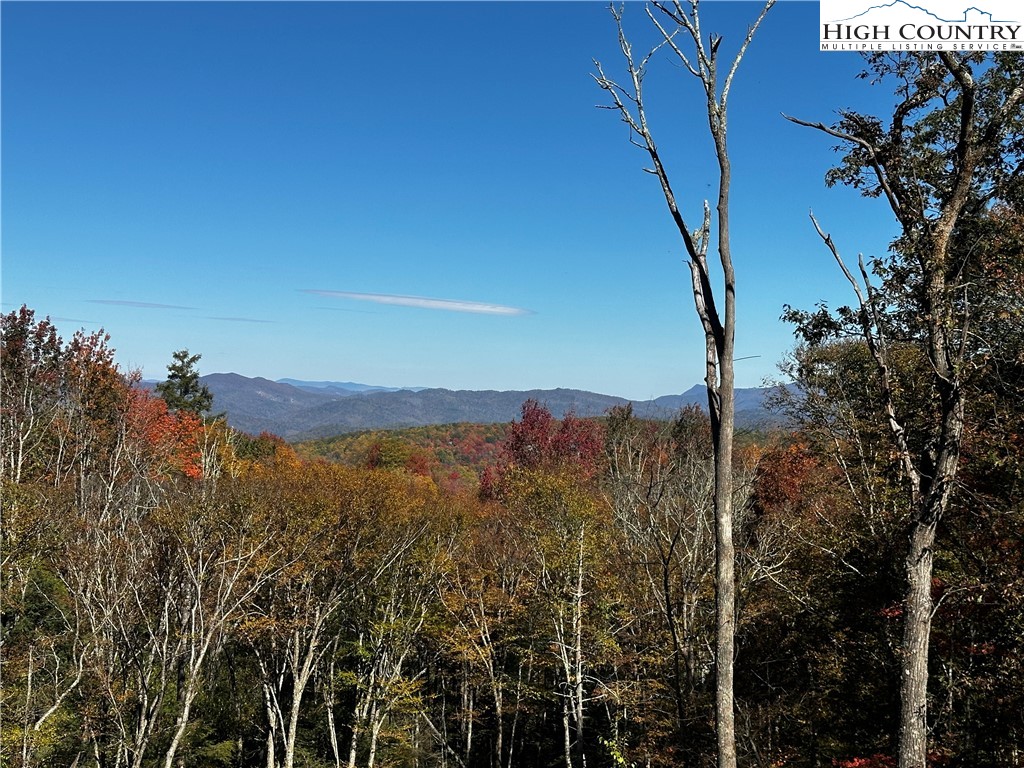Lot 94 Eagles Nest Trail Property Photo 3