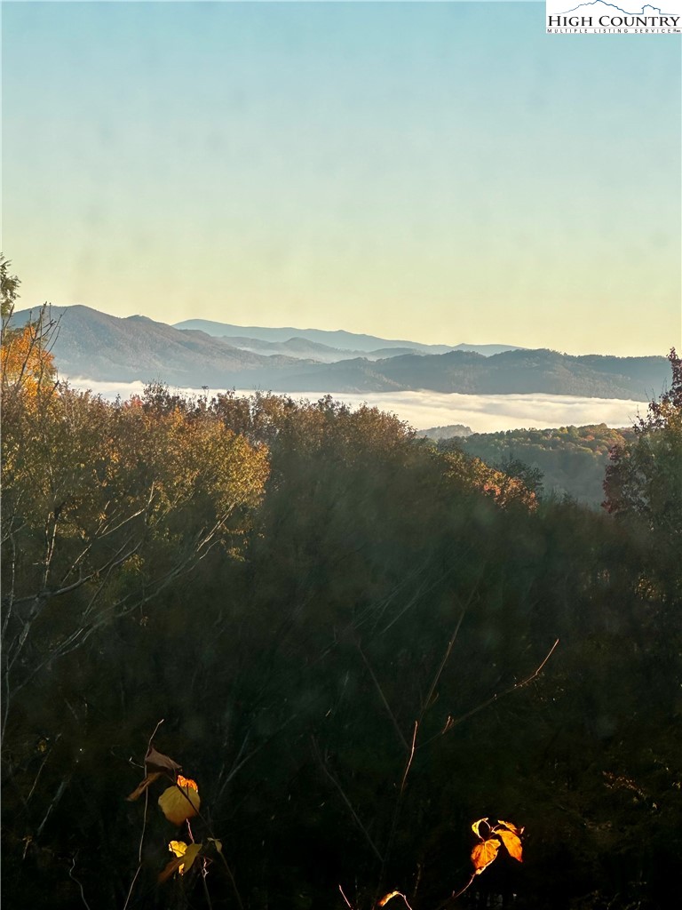 Lot 94 Eagles Nest Trail Property Photo 4