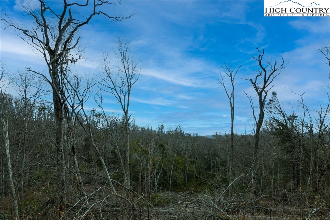 Lot 94 Eagles Nest Trail Property Photo 5