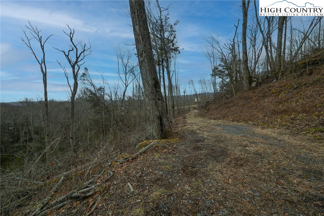 Lot 94 Eagles Nest Trail Property Photo 6