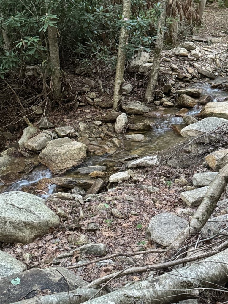 Lot 94 Eagles Nest Trail Property Photo 9