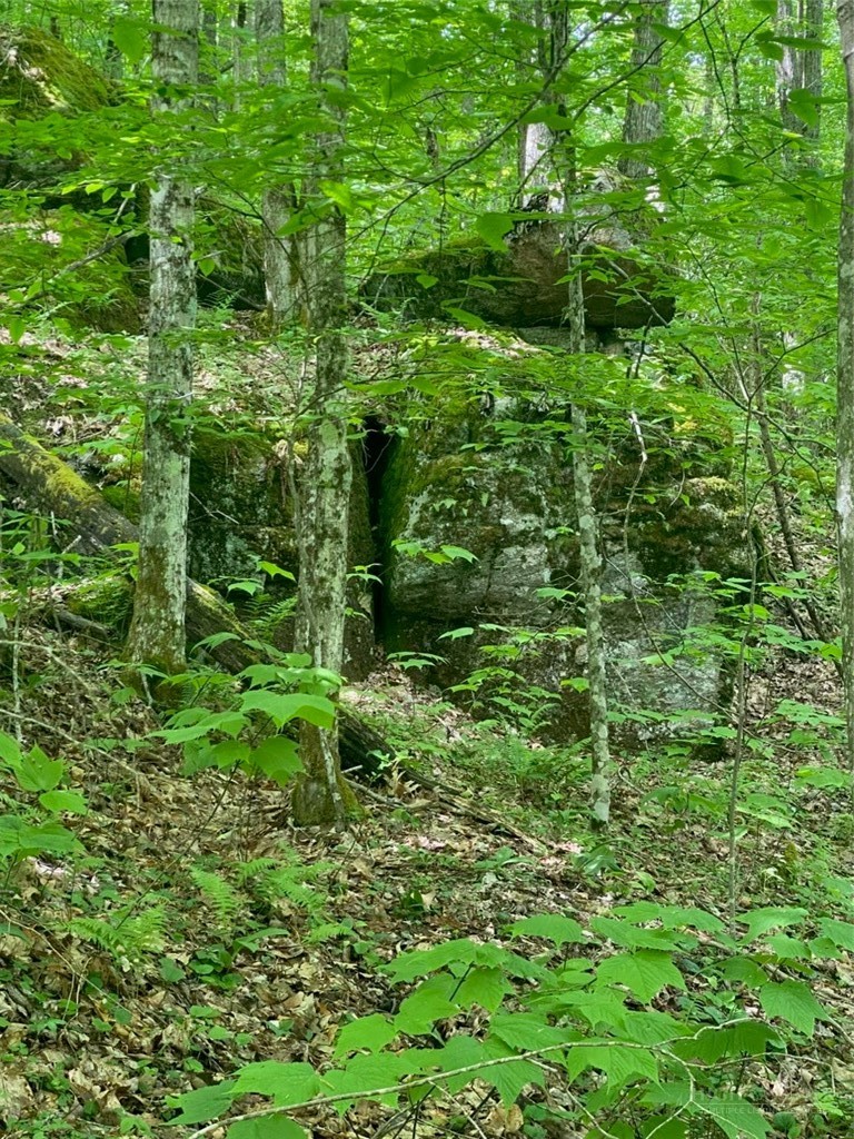Lot 94 Eagles Nest Trail Property Photo 10