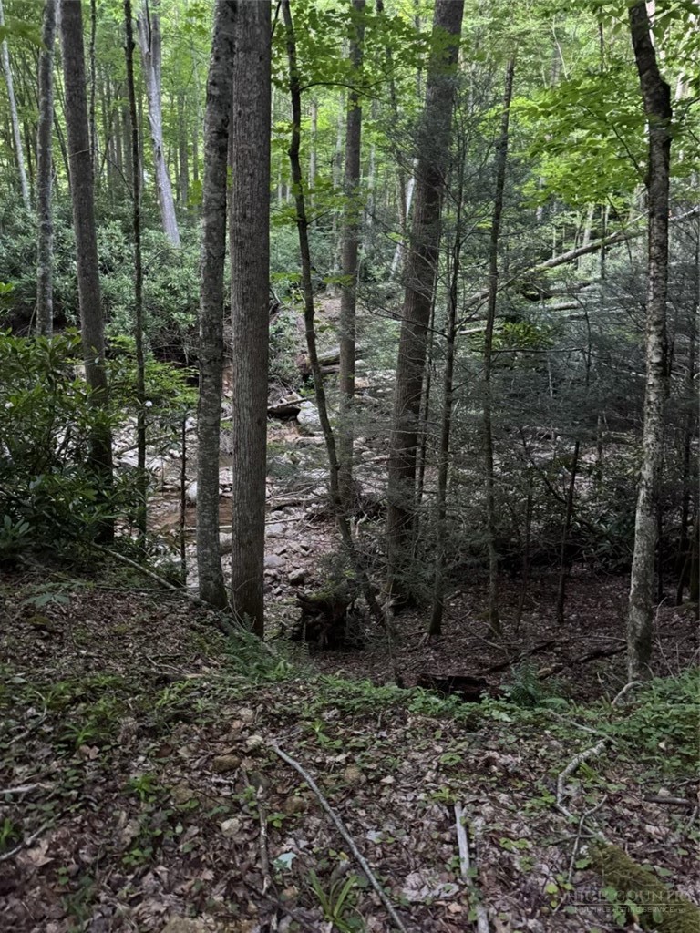 Lot 94 Eagles Nest Trail Property Photo 11