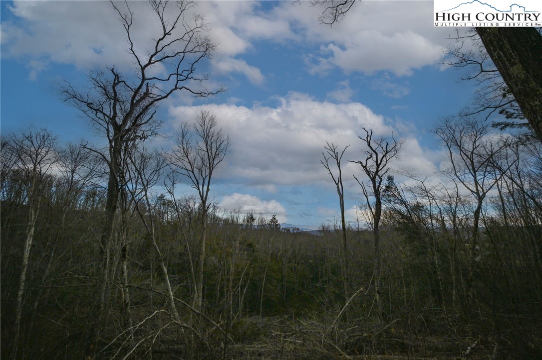 Lot 94 Eagles Nest Trail Property Photo 17