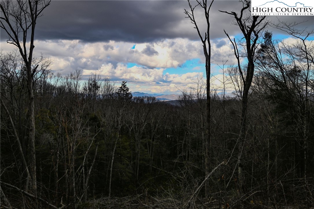Lot 94 Eagles Nest Trail Property Photo 18