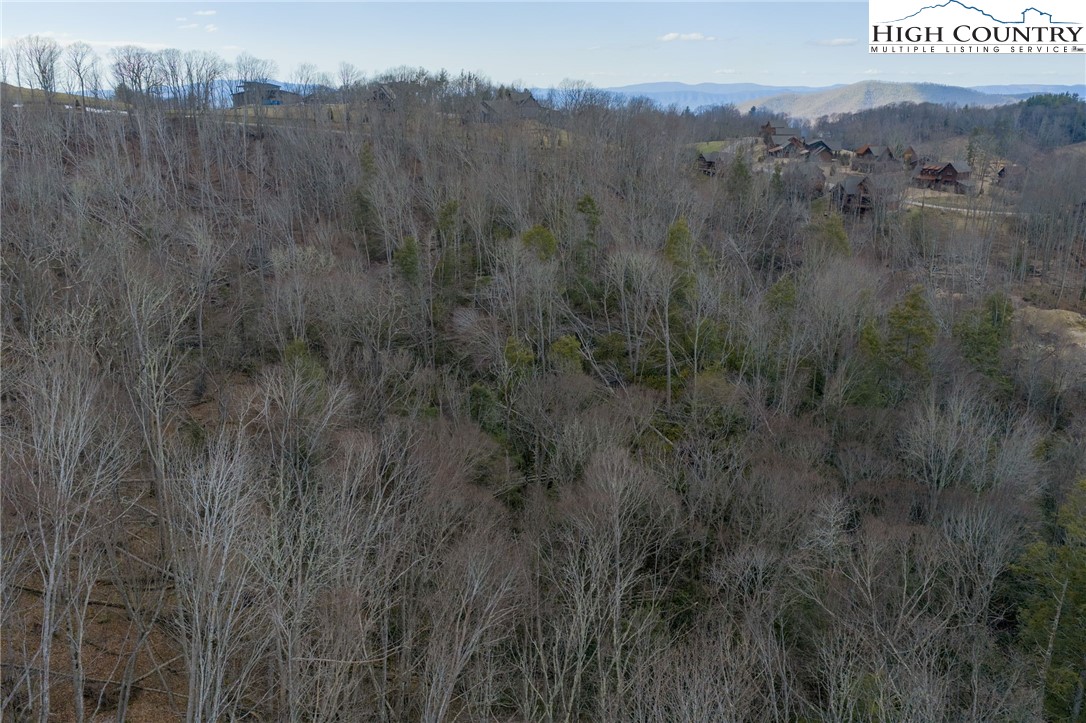 Lot 94 Eagles Nest Trail Property Photo 19