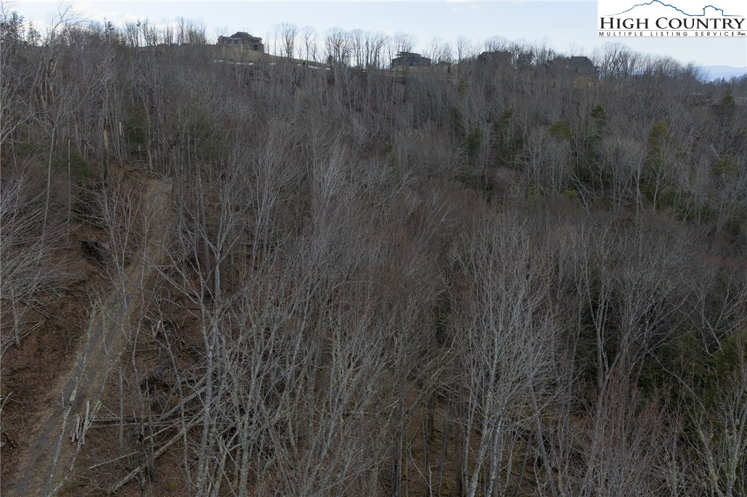 Lot 94 Eagles Nest Trail Property Photo 22