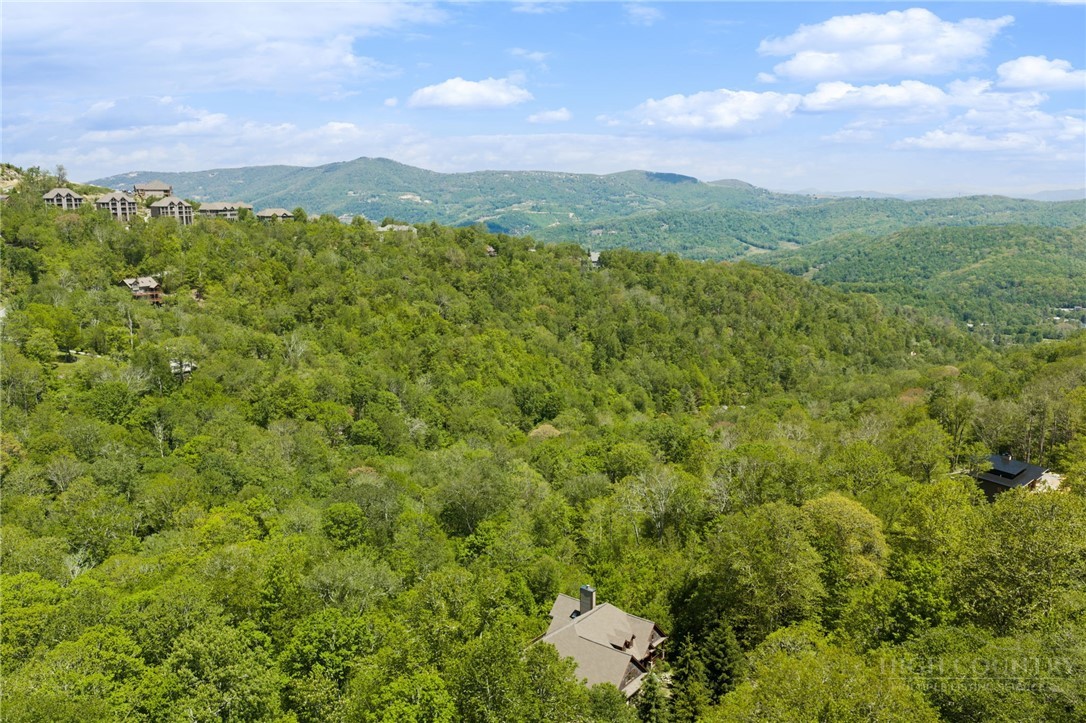 1226 Grouse Moor Drive Property Photo 4