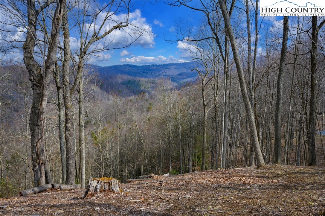 TBD Raspberry Lane Property Photo 1