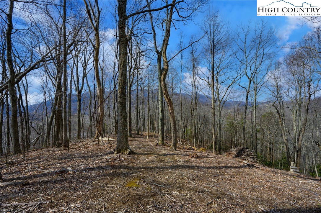 Tbd Raspberry Lane Property Photo 2