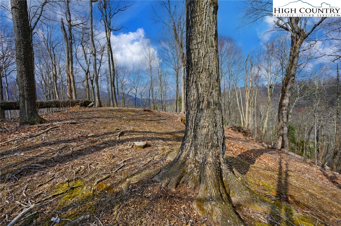 Tbd Raspberry Lane Property Photo 3
