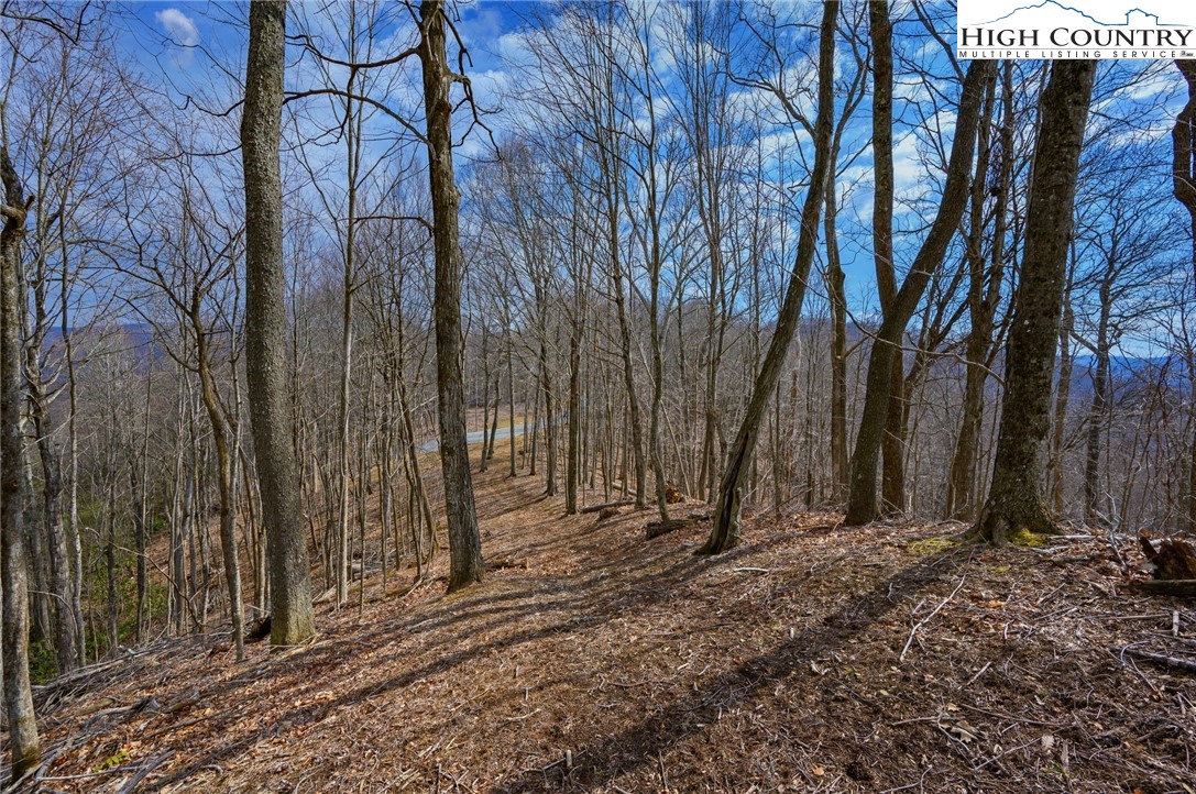 Tbd Raspberry Lane Property Photo 5
