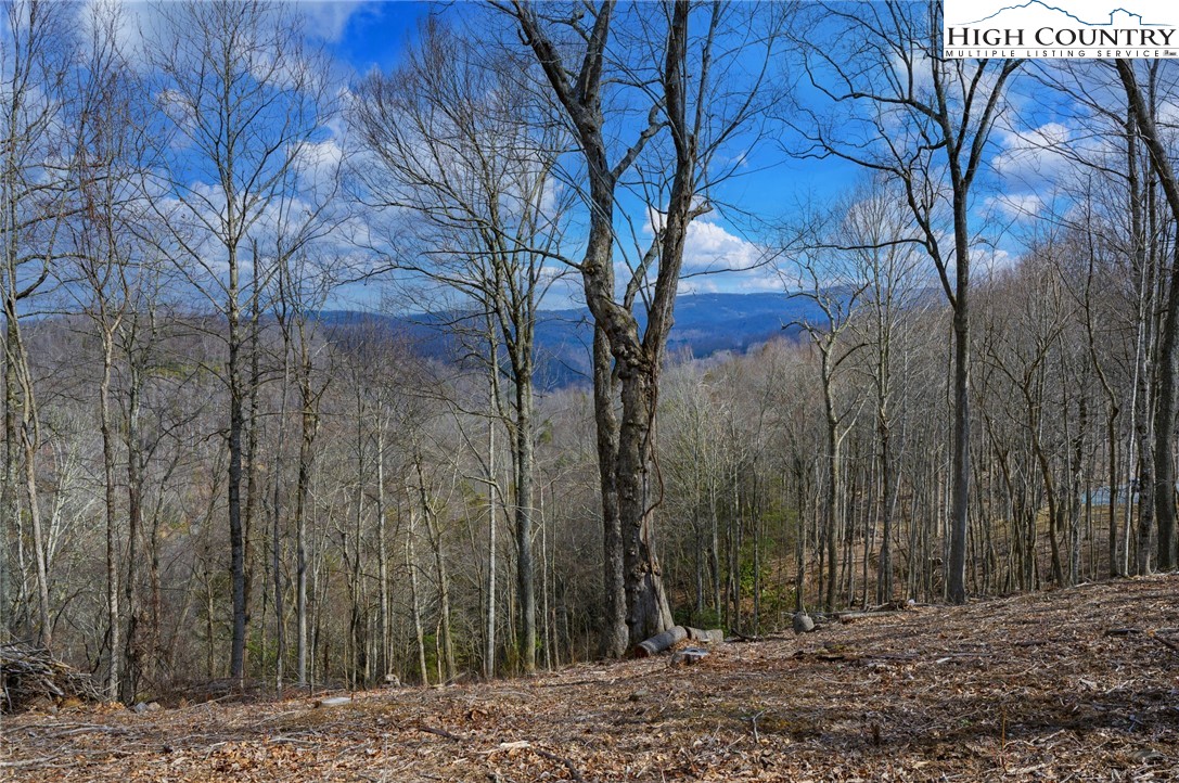 Tbd Raspberry Lane Property Photo 6