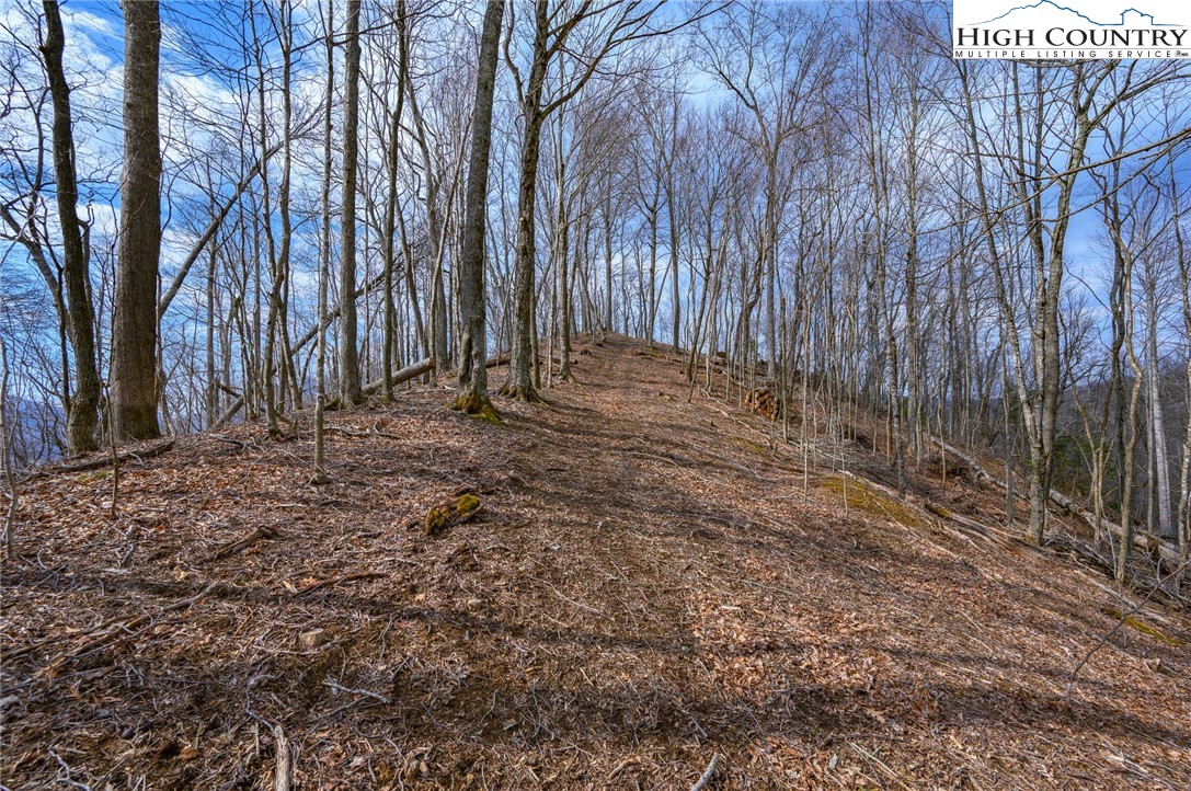 Tbd Raspberry Lane Property Photo 7