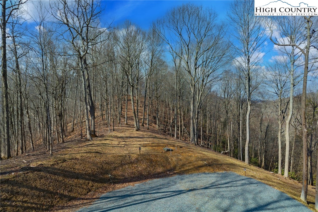 Tbd Raspberry Lane Property Photo 8