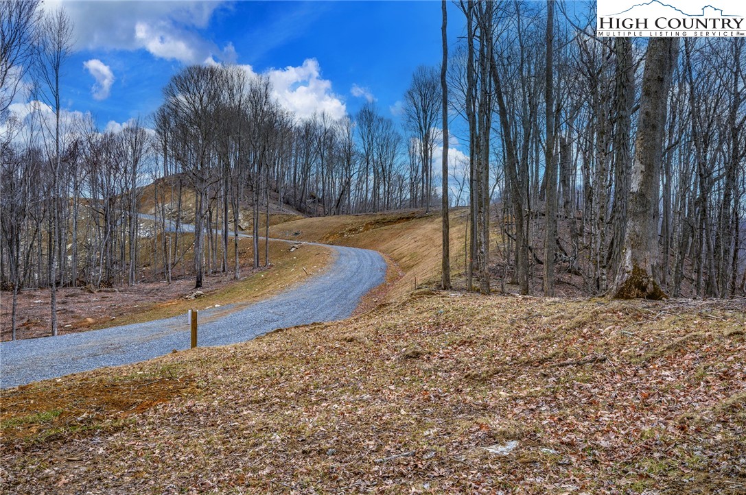 Tbd Raspberry Lane Property Photo 10