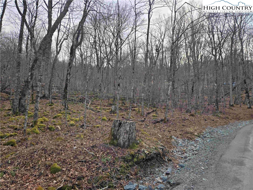 Tbd Rock Spring Circle Property Photo 1