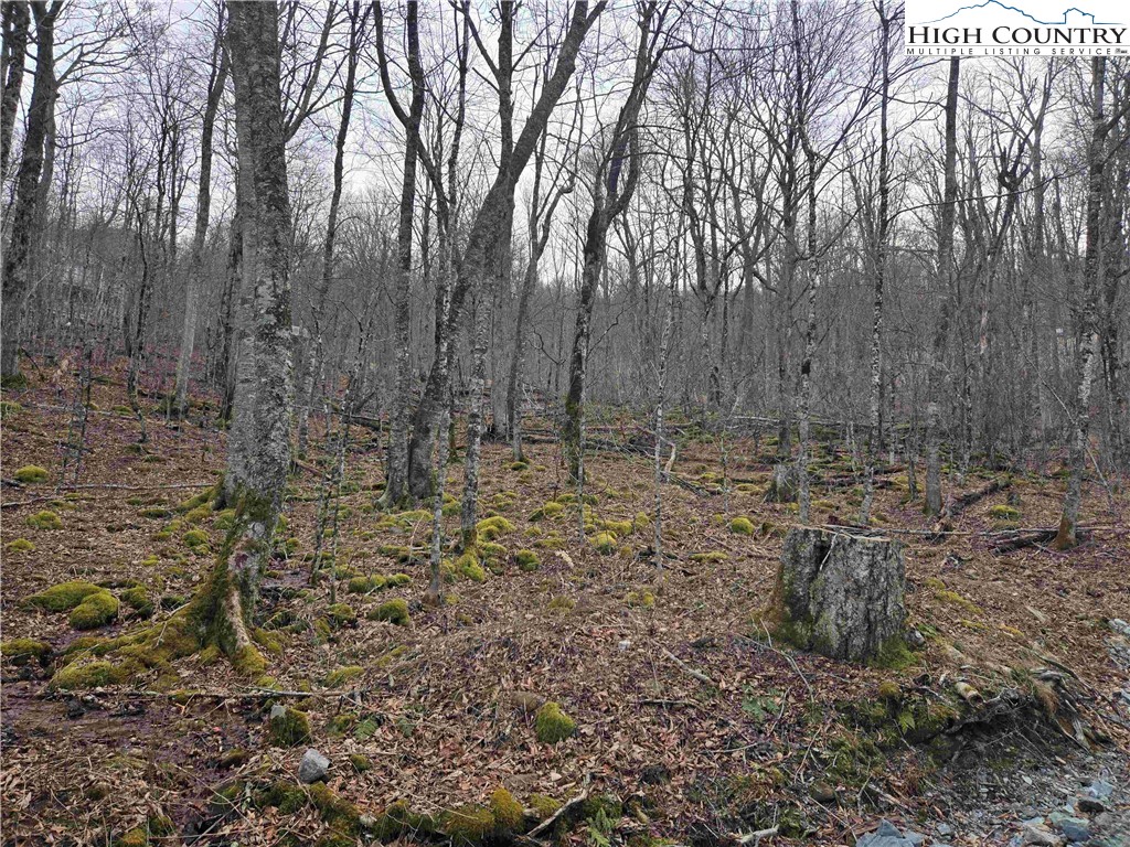 Tbd Rock Spring Circle Property Photo 3