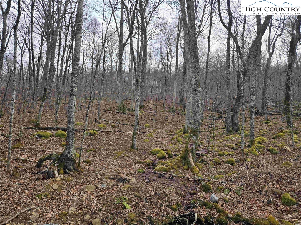 Tbd Rock Spring Circle Property Photo 5